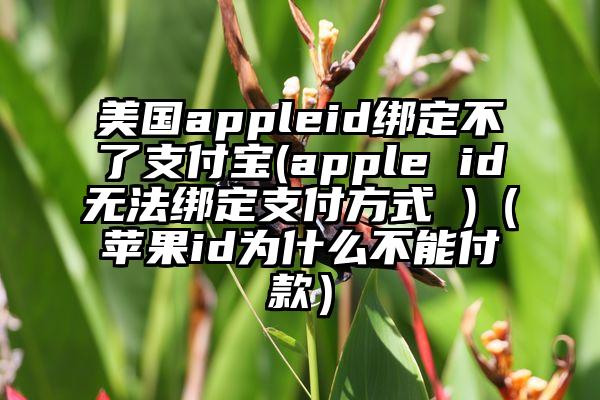 美国appleid绑定不了支付宝(apple id无法绑定支付方式 )（苹果id为什么不能付款）