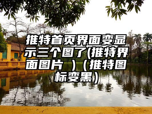 推特首页界面变显示三个图了(推特界面图片 )（推特图标变黑）