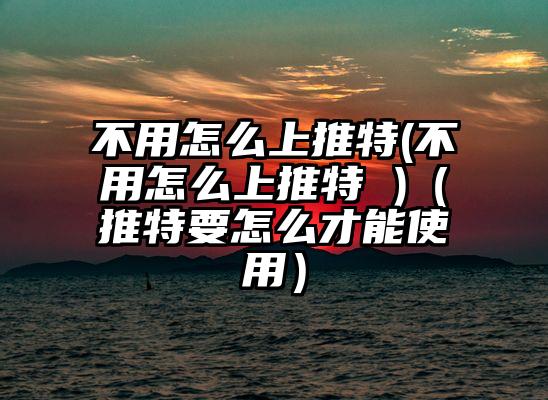不用怎么上推特(不用怎么上推特 )（推特要怎么才能使用）