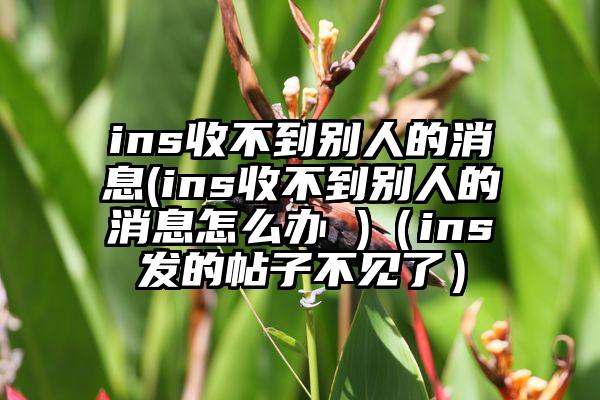 ins收不到别人的消息(ins收不到别人的消息怎么办 )（ins发的帖子不见了）