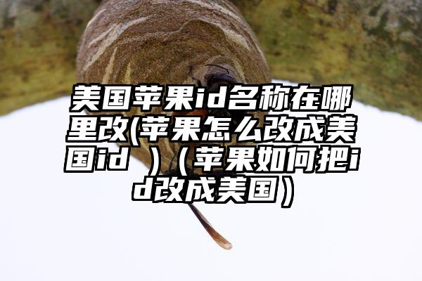 美国苹果id名称在哪里改(苹果怎么改成美国id )（苹果如何把id改成美国）