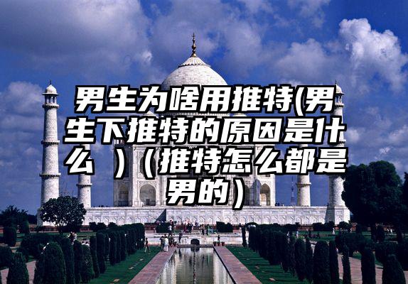 男生为啥用推特(男生下推特的原因是什么 )（推特怎么都是男的）