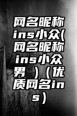 网名昵称ins小众(网名昵称ins小众男 )（优质网名ins）