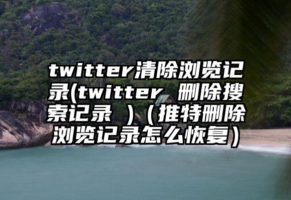 twitter清除浏览记录(twitter 删除搜索记录 )（推特删除浏览记录怎么恢复）