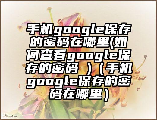 手机google保存的密码在哪里(如何查看google保存的密码 )（手机google保存的密码在哪里）