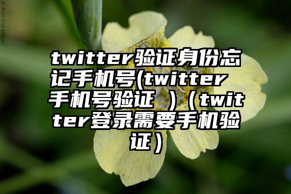 twitter验证身份忘记手机号(twitter 手机号验证 )（twitter登录需要手机验证）