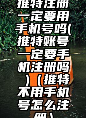 推特注册一定要用手机号吗(推特账号一定要手机注册吗 )（推特不用手机号怎么注册）