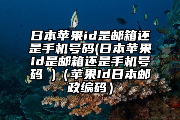 日本苹果id是邮箱还是手机号码(日本苹果id是邮箱还是手机号码 )（苹果id日本邮政编码）