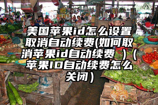 美国苹果id怎么设置取消自动续费(如何取消苹果id自动续费 )（苹果ID自动续费怎么关闭）