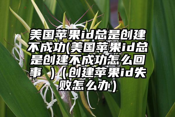 美国苹果id总是创建不成功(美国苹果id总是创建不成功怎么回事 )（创建苹果id失败怎么办）