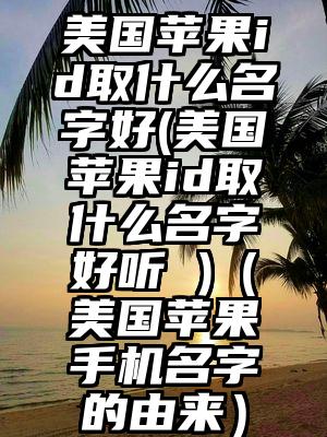 美国苹果id取什么名字好(美国苹果id取什么名字好听 )（美国苹果手机名字的由来）