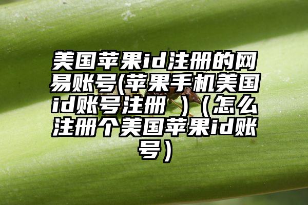 美国苹果id注册的网易账号(苹果手机美国id账号注册 )（怎么注册个美国苹果id账号）