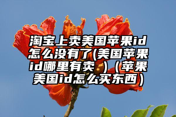 淘宝上卖美国苹果id怎么没有了(美国苹果id哪里有卖 )（苹果美国id怎么买东西）