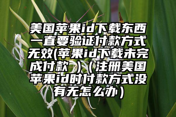 美国苹果id下载东西一直要验证付款方式无效(苹果id下载未完成付款 )（注册美国苹果id时付款方式没有无怎么办）
