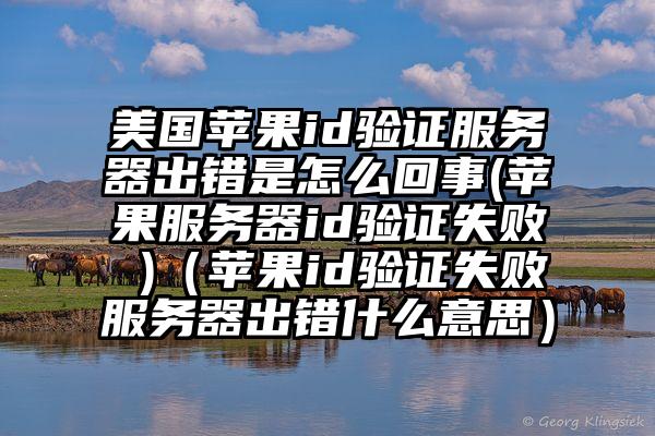 美国苹果id验证服务器出错是怎么回事(苹果服务器id验证失败 )（苹果id验证失败服务器出错什么意思）