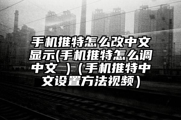手机推特怎么改中文显示(手机推特怎么调中文 )（手机推特中文设置方法视频）
