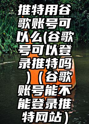 推特用谷歌账号可以么(谷歌号可以登录推特吗 )（谷歌账号能不能登录推特网站）