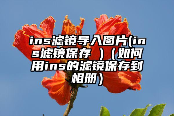ins滤镜导入图片(ins滤镜保存 )（如何用ins的滤镜保存到相册）