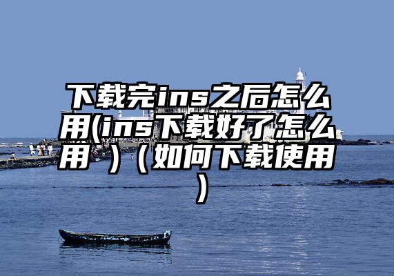 下载完ins之后怎么用(ins下载好了怎么用 )（如何下载使用）