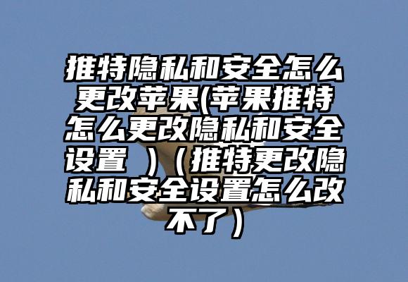 推特隐私和安全怎么更改苹果(苹果推特怎么更改隐私和安全设置 )（推特更改隐私和安全设置怎么改不了）