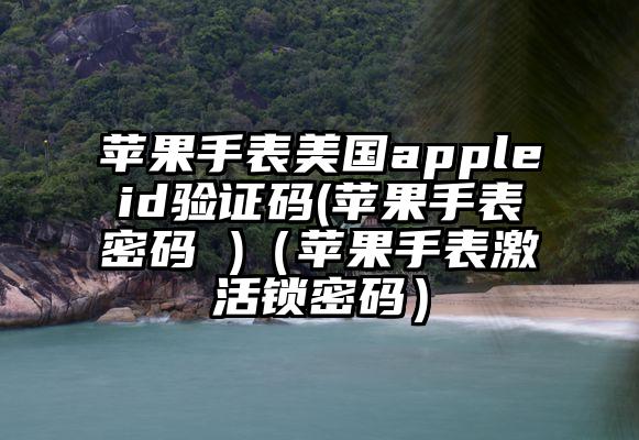 苹果手表美国appleid验证码(苹果手表密码 )（苹果手表激活锁密码）