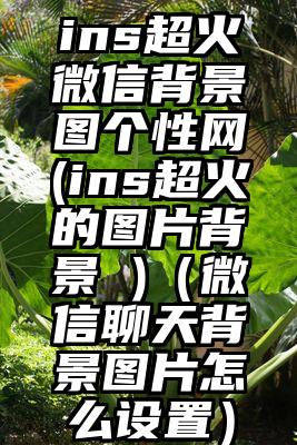 ins超火微信背景图个性网(ins超火的图片背景 )(微信聊天背景图片怎么设置)