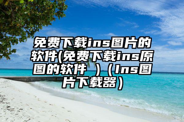 免费下载ins图片的软件(免费下载ins原图的软件 )（Ins图片下载器）