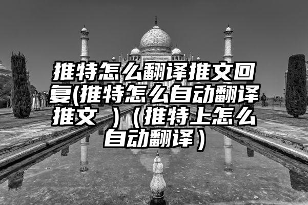 推特怎么翻译推文回复(推特怎么自动翻译推文 )（推特上怎么自动翻译）