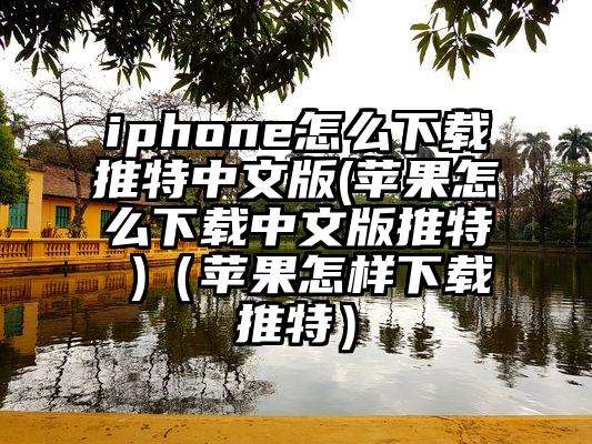 iphone怎么下载推特中文版(苹果怎么下载中文版推特 )（苹果怎样下载推特）