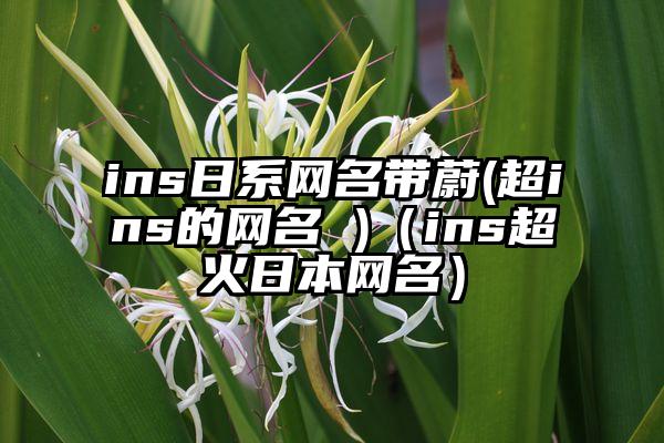 ins日系网名带蔚(超ins的网名 )（ins超火日本网名）