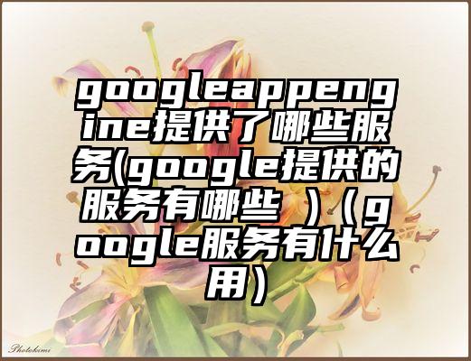 googleappengine提供了哪些服务(google提供的服务有哪些 )（google服务有什么用）