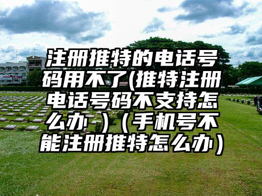 注册推特的电话号码用不了(推特注册电话号码不支持怎么办 )（手机号不能注册推特怎么办）
