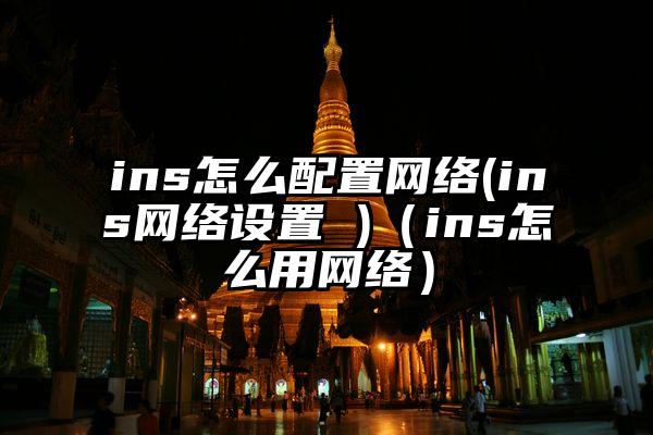 ins怎么配置网络(ins网络设置 )（ins怎么用网络）