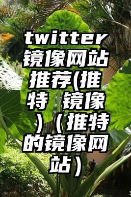 twitter镜像网站推荐(推特 镜像 )（推特的镜像网站）