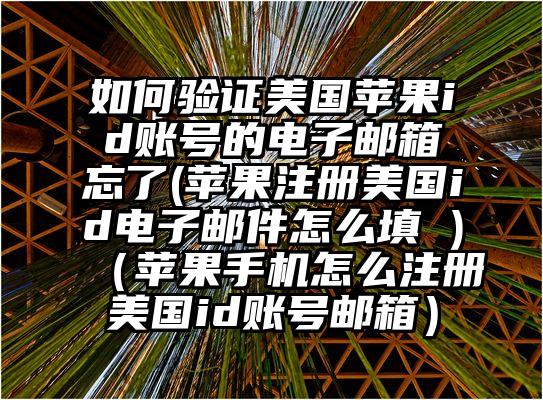 如何验证美国苹果id账号的电子邮箱忘了(苹果注册美国id电子邮件怎么填 )（苹果手机怎么注册美国id账号邮箱）
