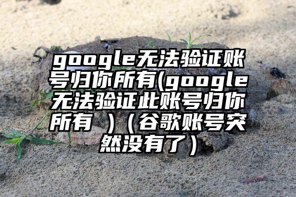 google无法验证账号归你所有(google无法验证此账号归你所有 )（谷歌账号突然没有了）