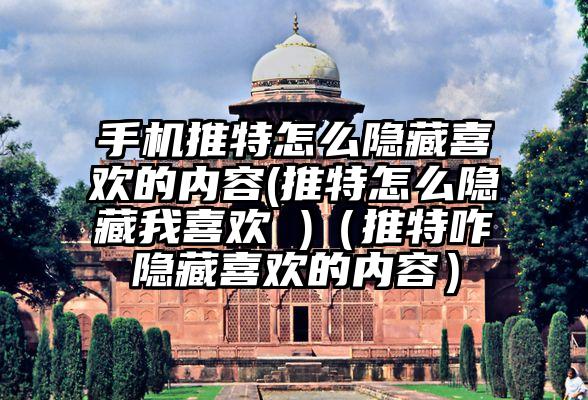 手机推特怎么隐藏喜欢的内容(推特怎么隐藏我喜欢 )（推特咋隐藏喜欢的内容）