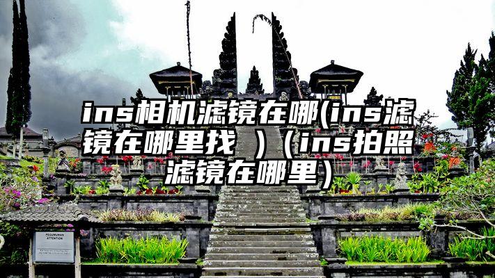 ins相机滤镜在哪(ins滤镜在哪里找 )（ins拍照滤镜在哪里）