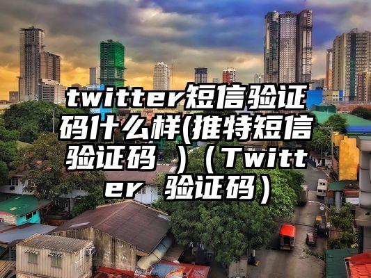 twitter短信验证码什么样(推特短信验证码 )（Twitter 验证码）
