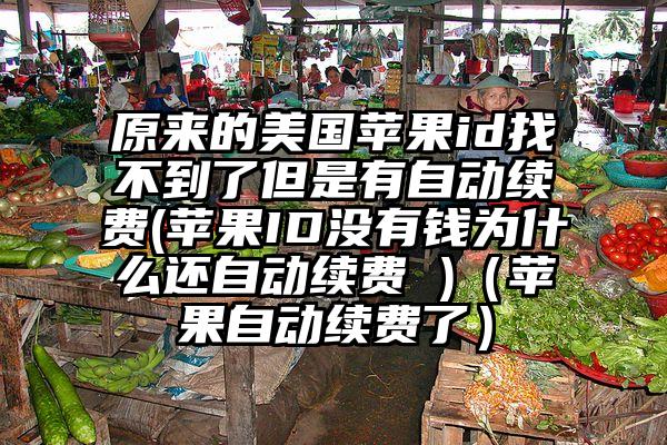 原来的美国苹果id找不到了但是有自动续费(苹果ID没有钱为什么还自动续费 )（苹果自动续费了）