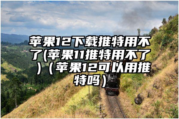 苹果12下载推特用不了(苹果11推特用不了 )（苹果12可以用推特吗）