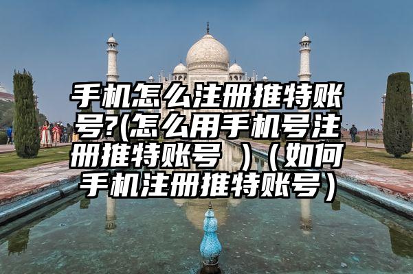 手机怎么注册推特账号?(怎么用手机号注册推特账号 )（如何手机注册推特账号）