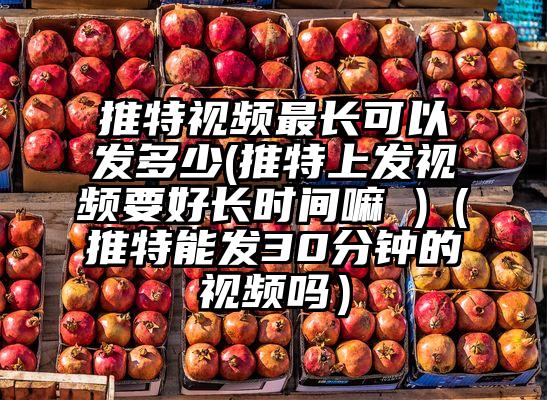 推特视频最长可以发多少(推特上发视频要好长时间嘛 )(推特能发30分钟的视频吗)
