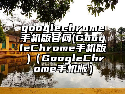 googlechrome手机版官网(GoogleChrome手机版 )（GoogleChrome手机版）