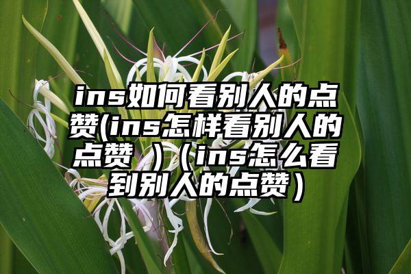 ins如何看别人的点赞(ins怎样看别人的点赞 )（ins怎么看到别人的点赞）