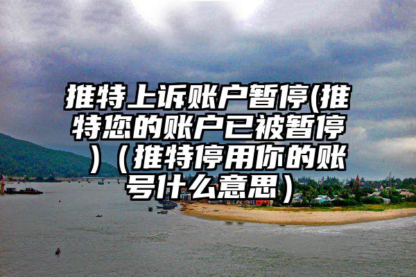 推特上诉账户暂停(推特您的账户已被暂停 )(推特停用你的账号什么意思)