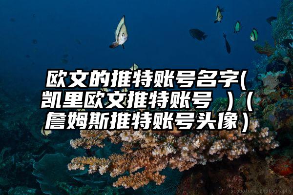 欧文的推特账号名字(凯里欧文推特账号 )（詹姆斯推特账号头像）