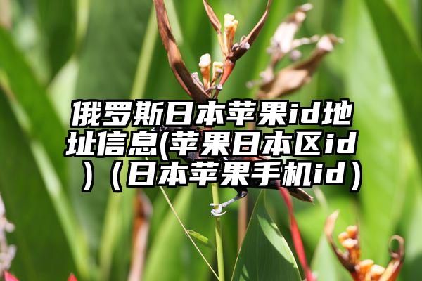 俄罗斯日本苹果id地址信息(苹果日本区id )（日本苹果手机id）