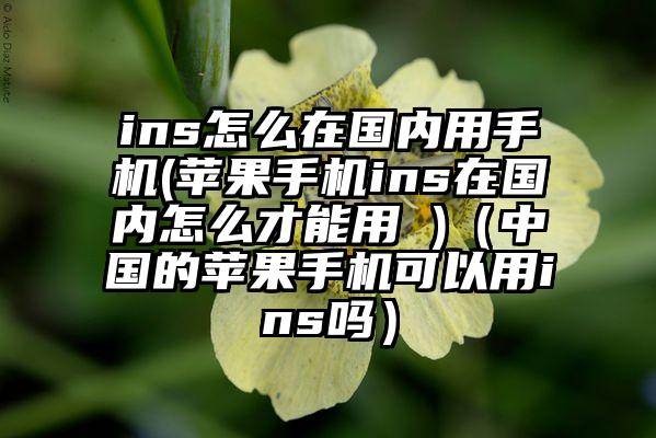 ins怎么在国内用手机(苹果手机ins在国内怎么才能用 )（中国的苹果手机可以用ins吗）