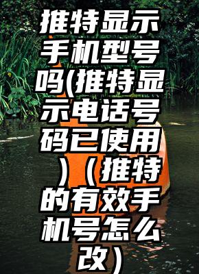 推特显示手机型号吗(推特显示电话号码已使用 )（推特的有效手机号怎么改）